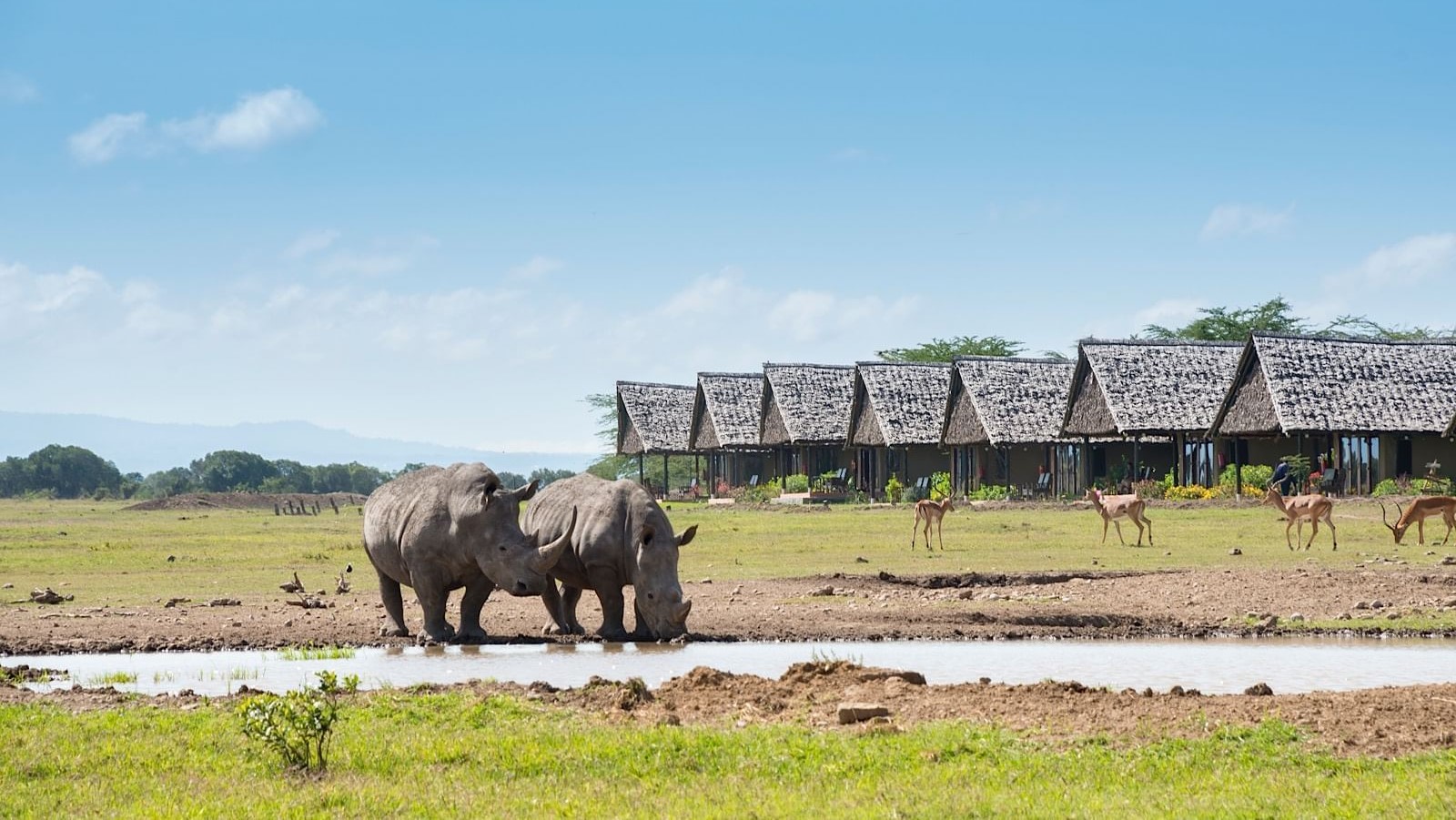 8 DAYS KENYA SPLENDORS BUDGET SAFARI